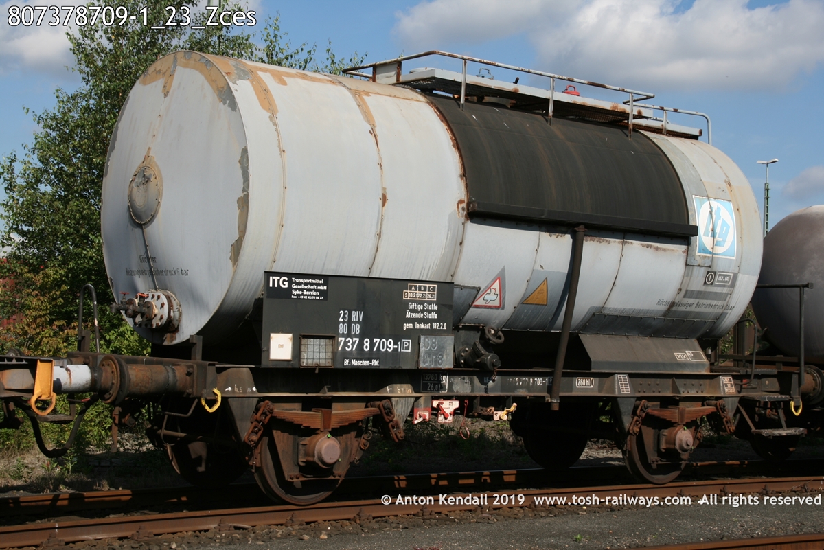 807378709-1_23_Zces.jpg